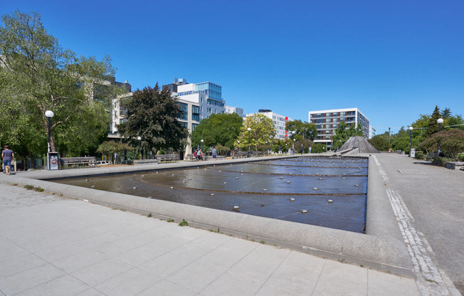 Outdoor Pursuits abound at Cal Anderson Park