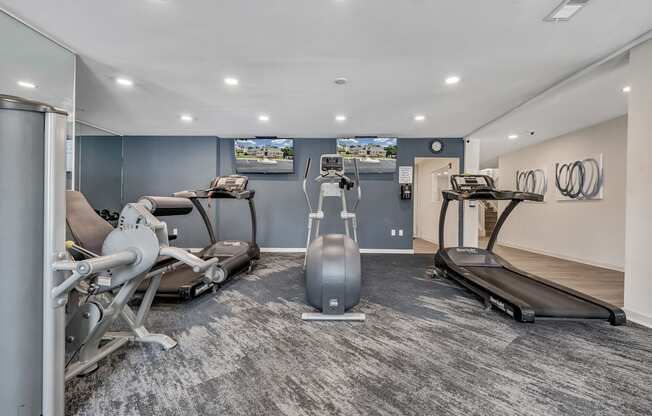 A gym with a treadmill, exercise bike, and weight machine.