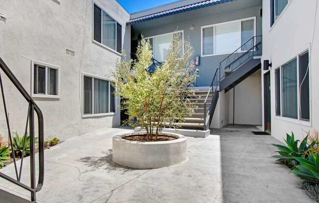 a tree in a planter in front of a building