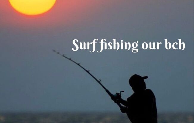 1 bed, 1 bath, 500 sqft, $2,295, Unit 015