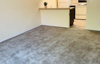 1 bed, 1 bath, 565 sqft, $1,175, Unit 219