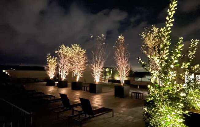 Rooftop Amenity