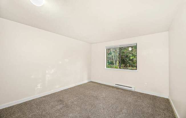 A room with a carpeted floor and a window showing trees outside.