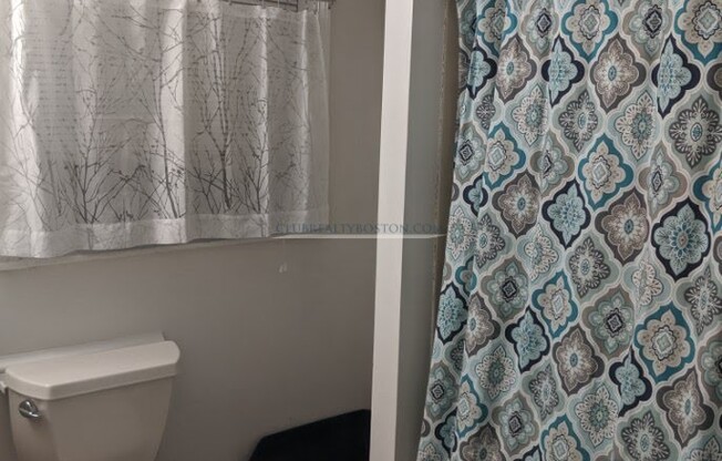 1 bed, 1 bath, $1,800