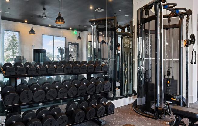 Free Weights In Gym at Berkshire Winter Park, Florida