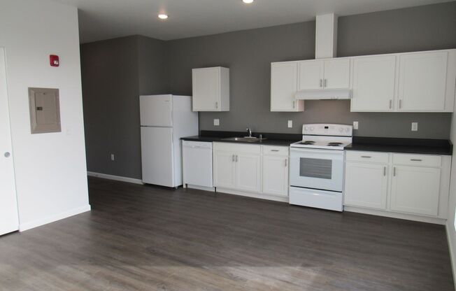 Studio, 1 bath, 467 sqft, $1,275, Unit 413