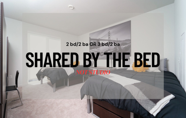 Studio, 1 bath, 1,050 sqft, $999, Unit 203 Room 1 Bed C