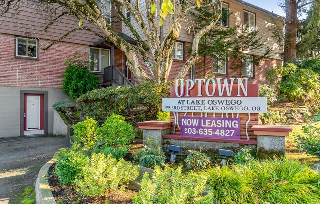 1 bed, 1 bath, 700 sqft, $1,450, Unit 20