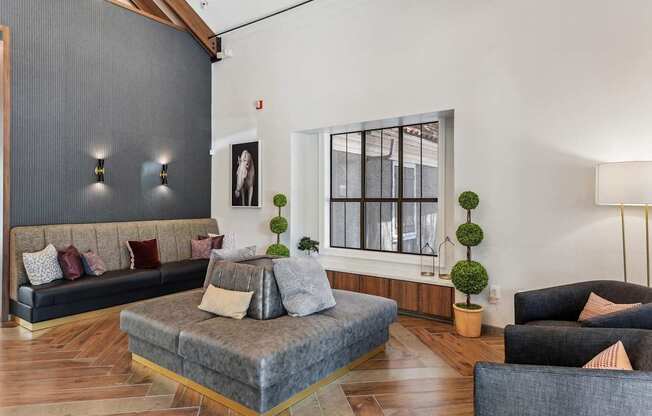 A living room with a grey sofa and a grey armchair.