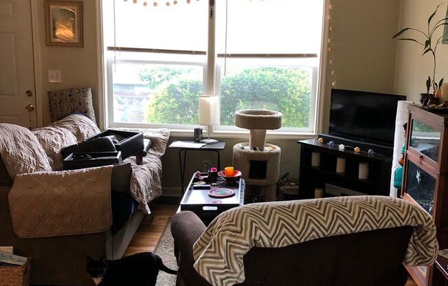 Charming N. Portland Apartment located in the Piedmont Neighborhood!