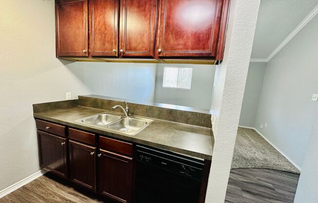 Studio, 1 bath, 500 sqft, $750, Unit 208