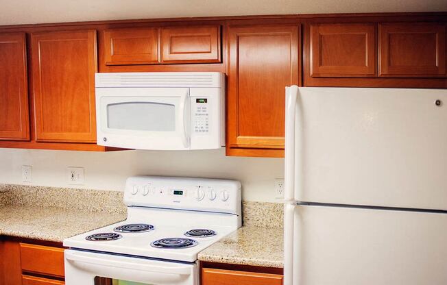 Apartment Home Kitchen