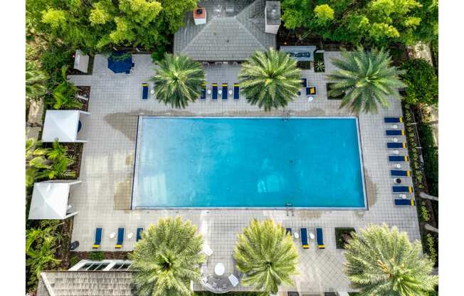 Aerial  Pool View at Sancerre at Sand Lake Apartments