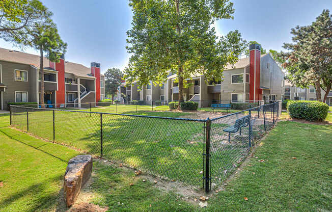 Dog Park with Equipment