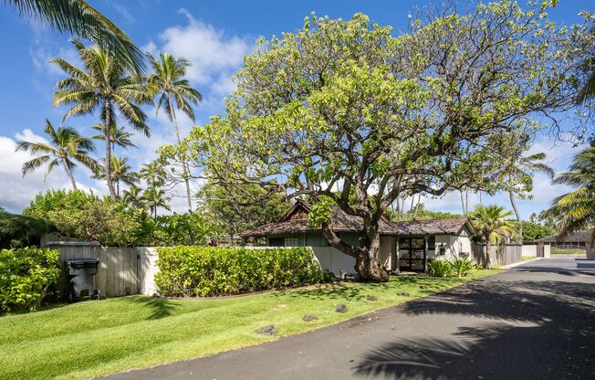 4/3 Dune Circle Home for Rent in Kailua