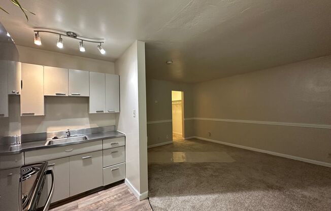 Studio, 1 bath, $1,425, Unit #211