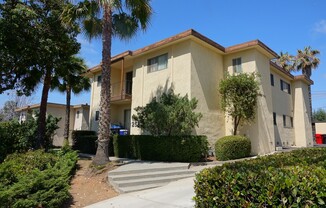 253 Alestar St