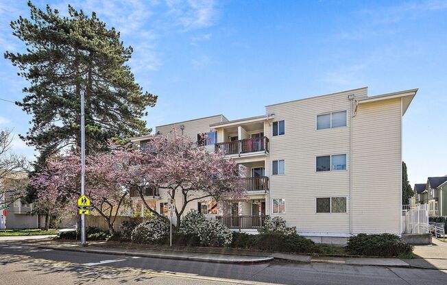 North Holland Apartments