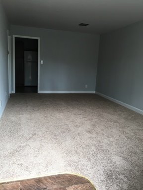 1 bed, 1 bath, $795