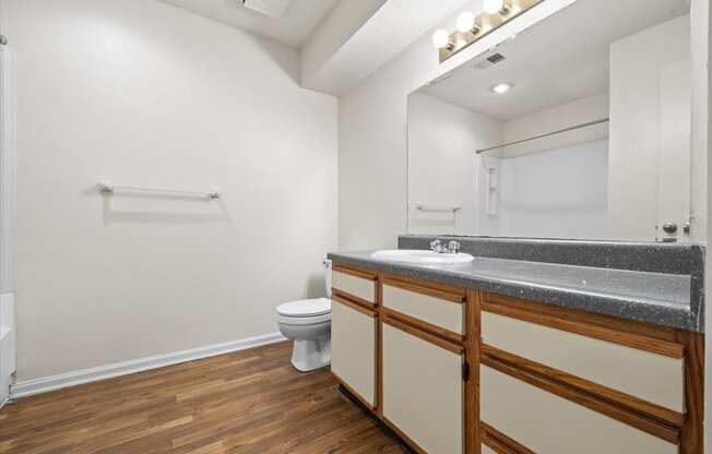 a bathroom with a sink and a toilet