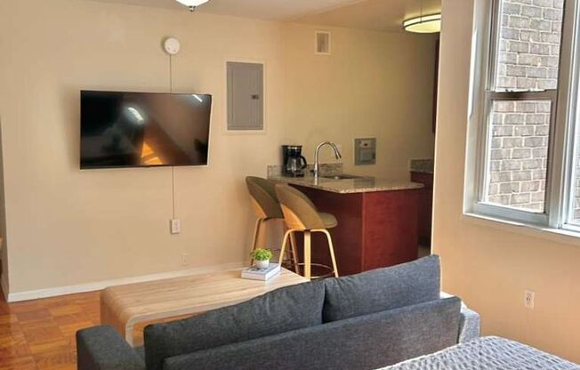 Studio, 1 bath, 389 sqft, $1,790, Unit 1845-312 - FURNISHED