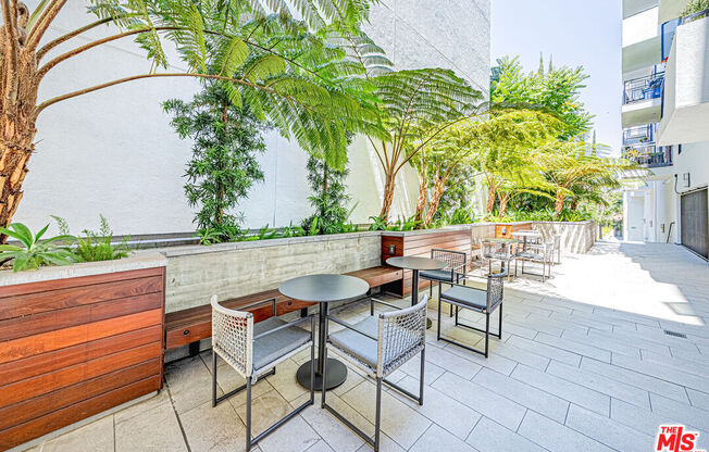 1 bed, 2 baths, 1,130 sqft, $2,700, Unit 313