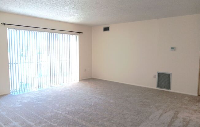 Sunny spot in St Pete, close to downtown & all kinds of shopping, dining