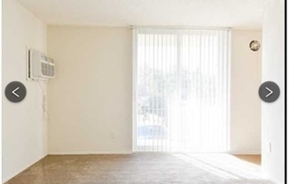 1 bed, 1 bath, 500 sqft, $1,295