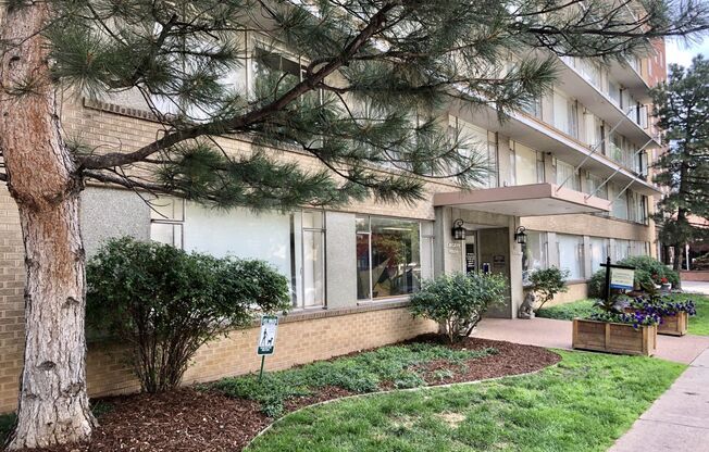 1 bed, 1 bath, 580 sqft, $1,150, Unit 802