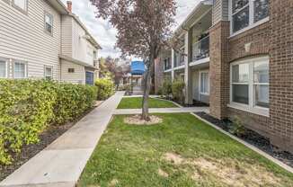 a walkway between two apartment buildings with a tree in the middle