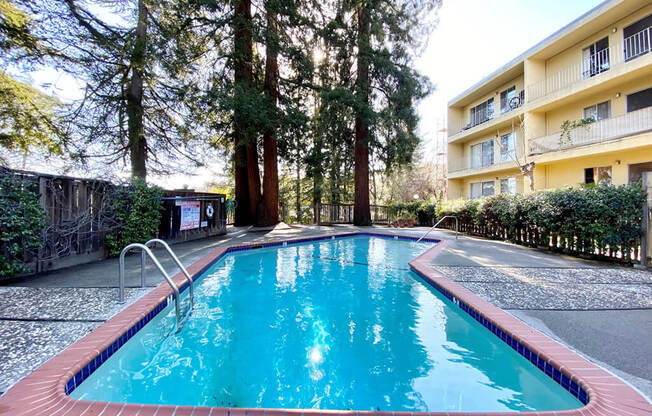 Swimming Pool at The Morgan, Lafayette, California