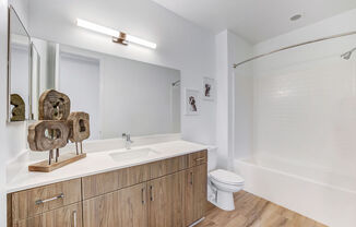 a bathroom with a toilet sink and a mirror