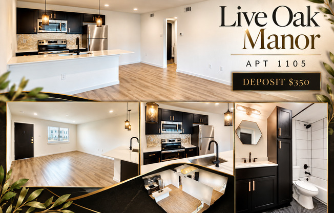 The Liveoak Manor | Renovated Apartments Near Lower Greenville & Knox-Henderson