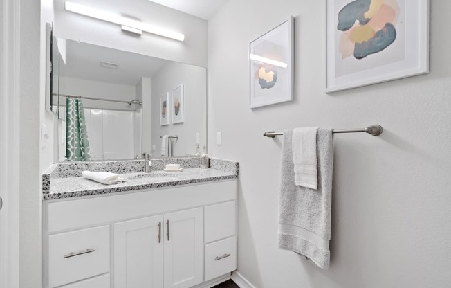 a bathroom with a sink and a mirror and a towel rack