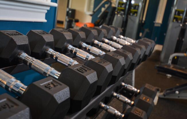 Weights in fitness center at Franklin Commons apartments for rent in Bensalem, PA