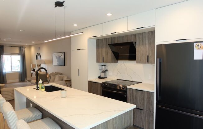 Brand New Town Home in the Heart of Northern Liberties