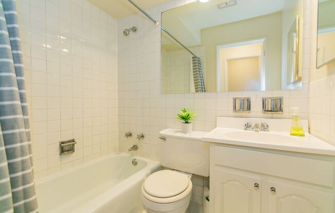 Studio, 1 bath, 400 sqft, $1,450, Unit 204