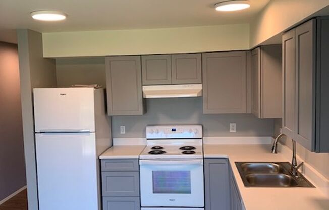 Studio, 1 bath, 484 sqft, $1,200