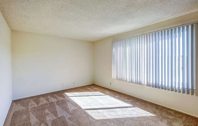 a spacious bedroom with a large window and carpeted flooring at Terrace View Apartments, Daly City, CA