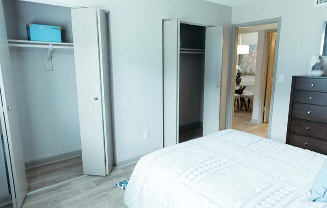 a bedroom with a bed and a closet and a dresser