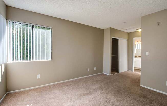 A room with a carpeted floor and a window with blinds.