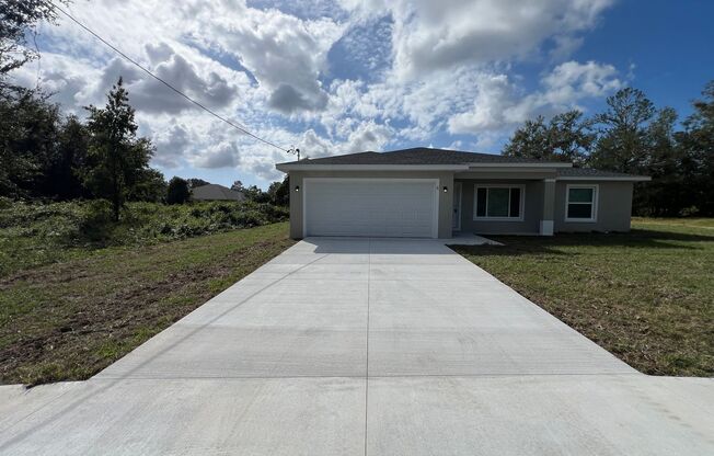 Beautiful, BRAND NEW 3 Bedroom, 2 Bathroom Home in Ocklawaha!!