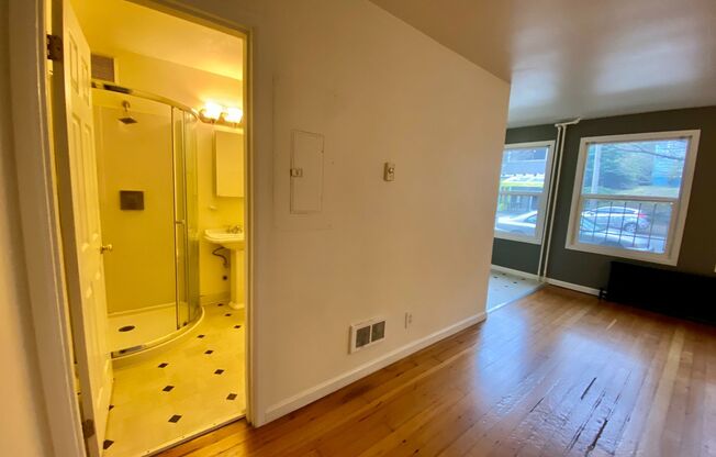 Studio, 1 bath, 325 sqft, $1,295, Unit 115