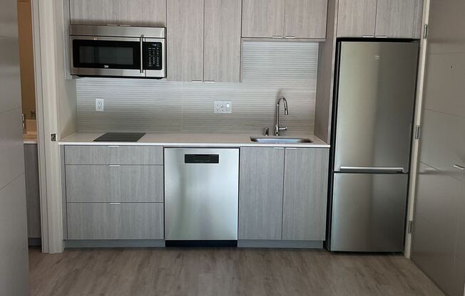 Studio, 1 bath, 325 sqft, $1,495, Unit 201