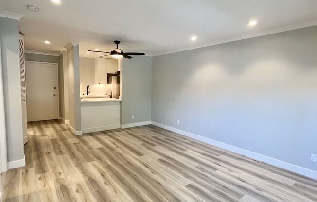 1 bed, 1 bath, 595 sqft, $2,895, Unit 305