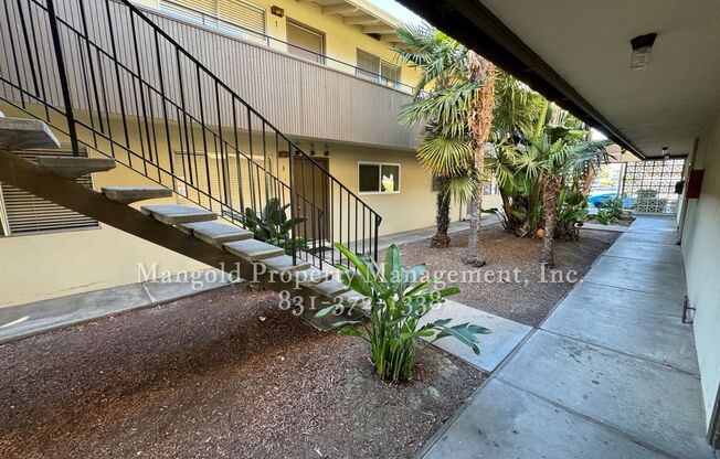 611palma