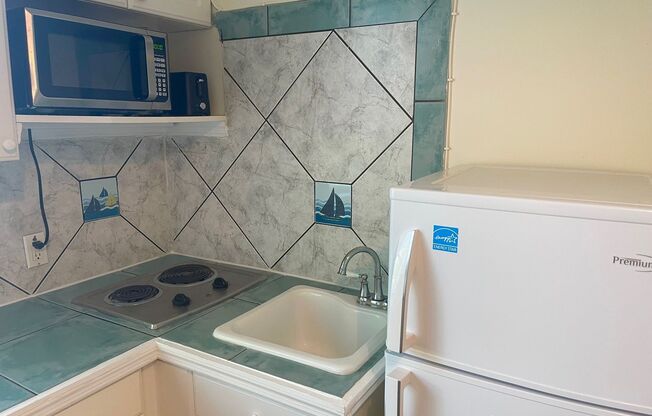 Studio, 1 bath, $1,495, Unit 119