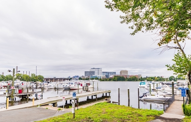 2 beds, 2 baths, 1,235 sqft, $3,850, Unit 501