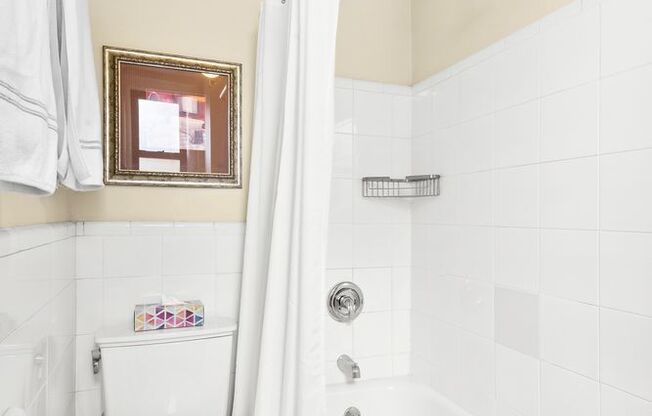 Studio, 1 bath, $2,800, Unit 8D