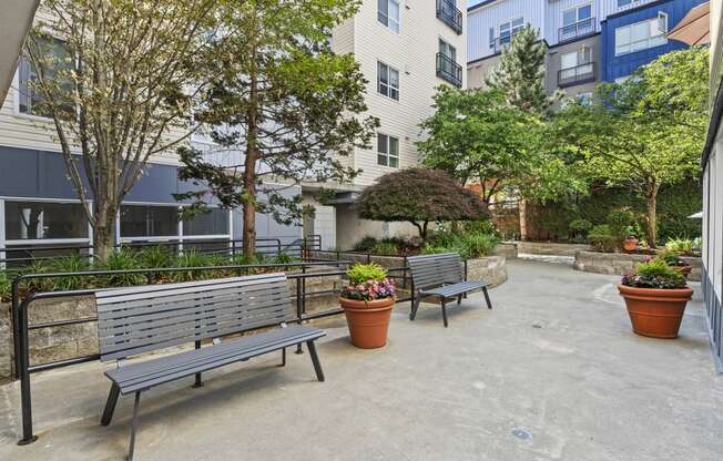 Outdoor Resident Seating Area with Benches and Trees at Promenade at the Park Apartment Homes, WA 98125